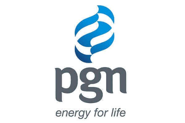 pgn